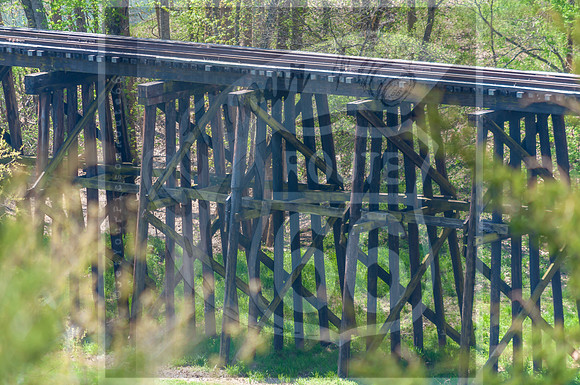 Spring 2020 © PicsbyJax-0269.jpg