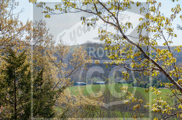 Spring 2020 © PicsbyJax-0273.jpg
