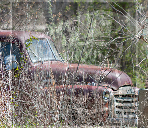 Spring 2020 © PicsbyJax-0294.jpg