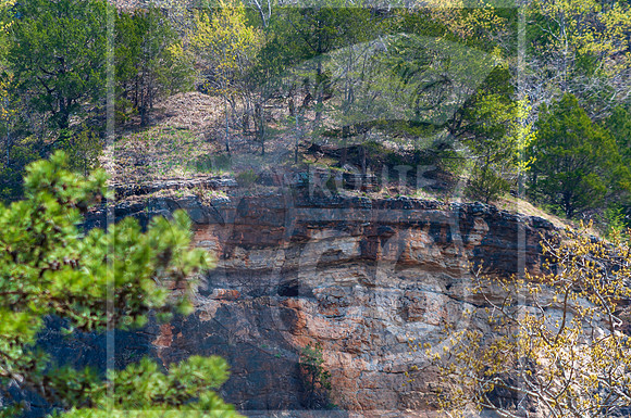Spring 2020 © PicsbyJax-0310.jpg