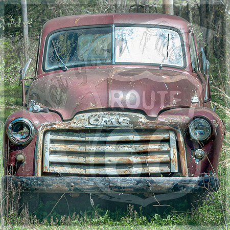 Spring 2020 © PicsbyJax-0313.jpg