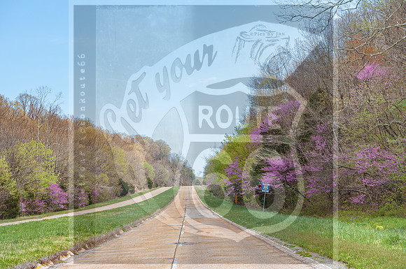 Spring 2020 © PicsbyJax-0321.jpg
