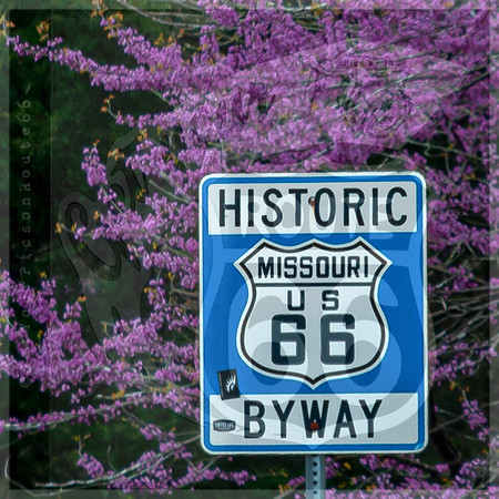 Spring 2020 © PicsbyJax-0322.jpg