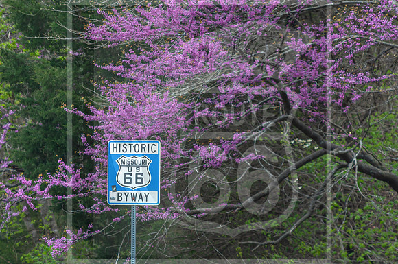 Spring 2020 © PicsbyJax-0322-3.jpg