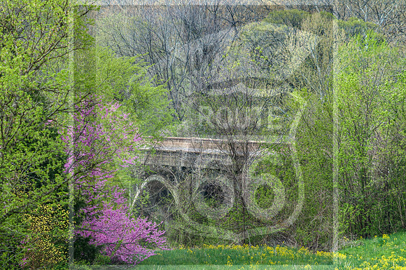 Spring 2020 © PicsbyJax-0323.jpg