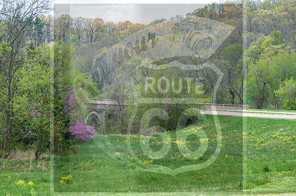 Spring 2020 © PicsbyJax-0325.jpg