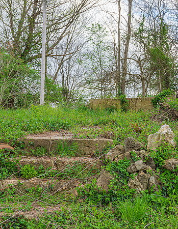 Spring 2020 (C)PicsbyJax-4190.jpg