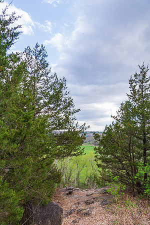 Spring 2020 (C)PicsbyJax-4196.jpg