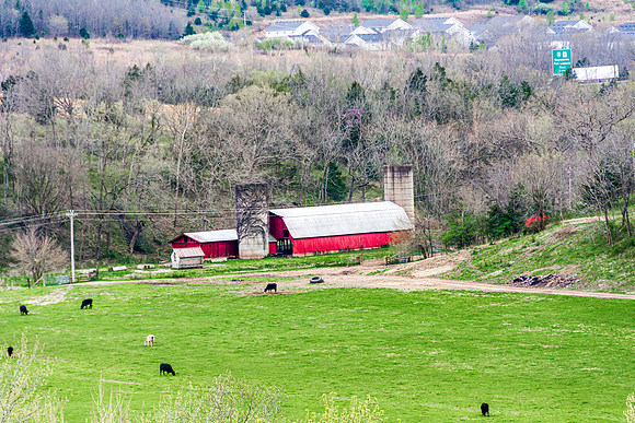Spring 2020 (C)PicsbyJax-4198.jpg