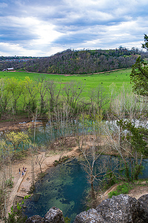 Spring 2020 (C)PicsbyJax-4203.jpg