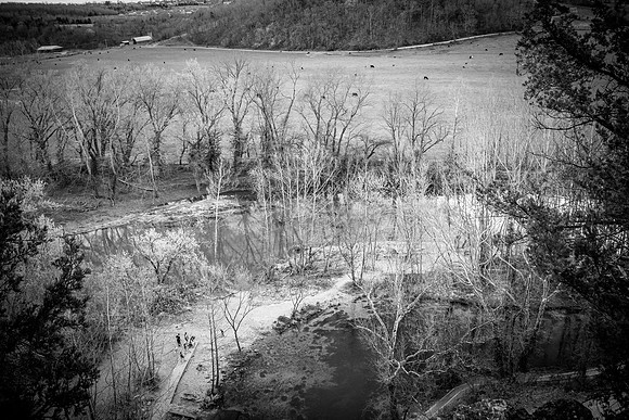 Spring 2020 (C)PicsbyJax-4205.jpg