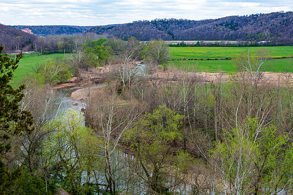 Spring 2020 (C)PicsbyJax-4206.jpg
