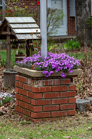 Spring 2020 (C)PicsbyJax-4215.jpg