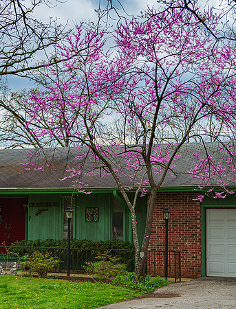 Spring 2020 (C)PicsbyJax-4216.jpg
