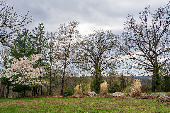 Spring 2020 (C)PicsbyJax-4220.jpg
