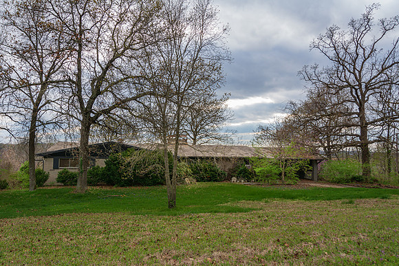 Spring 2020 (C)PicsbyJax-4221.jpg