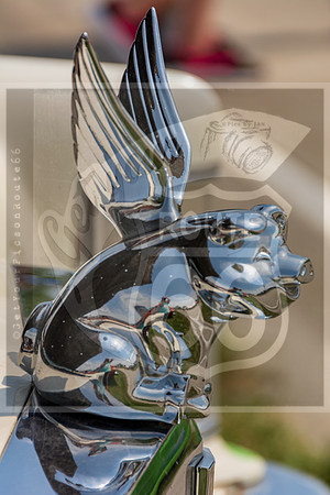 Route 66- Lebanon Festival 2020 ©PicsbyJax-8062.jpg