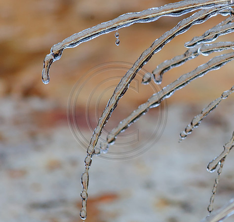 Jupiter Ice Storm- Friday 13, 2017 (c)PicsbyJax whatisee shootandediteveryday picsbyjax-0065.jpg
