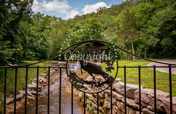Dogwood Canyon_Branson_Top of the Rock_ Ancient Ozarks Natural History Museum-0012.jpg