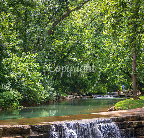 Dogwood Canyon_Branson_Top of the Rock_ Ancient Ozarks Natural History Museum-0020.jpg