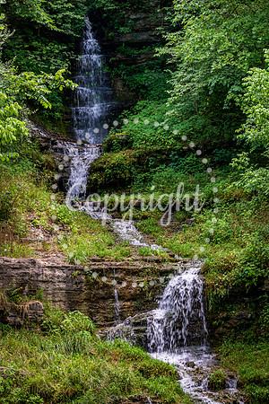 Dogwood Canyon_Branson_Top of the Rock_ Ancient Ozarks Natural History Museum-0025.jpg