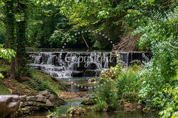 Dogwood Canyon_Branson_Top of the Rock_ Ancient Ozarks Natural History Museum-0034.jpg