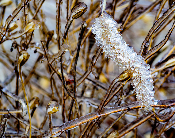 Jupiter Ice Storm- Friday 13, 2017 (c)PicsbyJax whatisee shootandediteveryday picsbyjax-0110.jpg