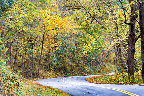 Fall 2020 © Pics by Jax-3386.jpg
