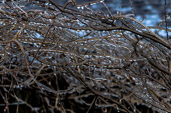 Jupiter Ice Storm- Friday 13, 2017 (c)PicsbyJax whatisee shootandediteveryday picsbyjax-0068.jpg