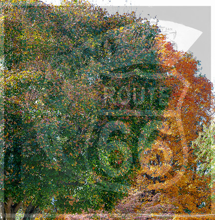 untitled-0020.jpg