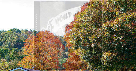 untitled-0021.jpg