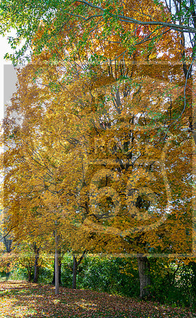untitled-3003.jpg