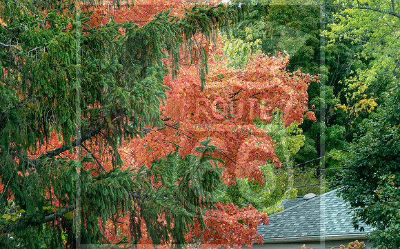 untitled-3033.jpg