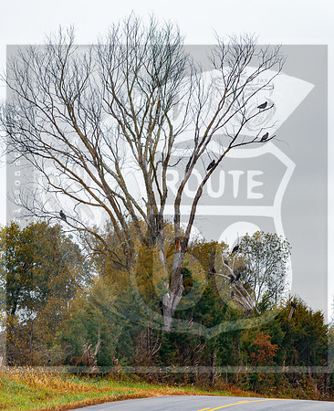 Fall 2020 © Pics by Jax-0001.jpg