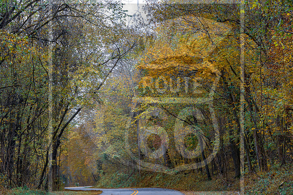 Fall 2020 © Pics by Jax-3325.jpg