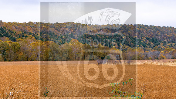 Fall 2020 © Pics by Jax-3331.jpg
