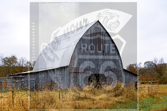 Fall 2020 © Pics by Jax-3337.jpg