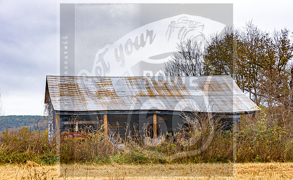 Fall 2020 © Pics by Jax-3341.jpg