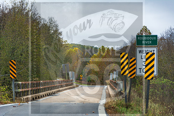 Fall 2020 © Pics by Jax-3344.jpg