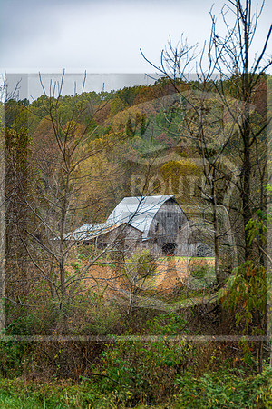 Fall 2020 © Pics by Jax-3379.jpg