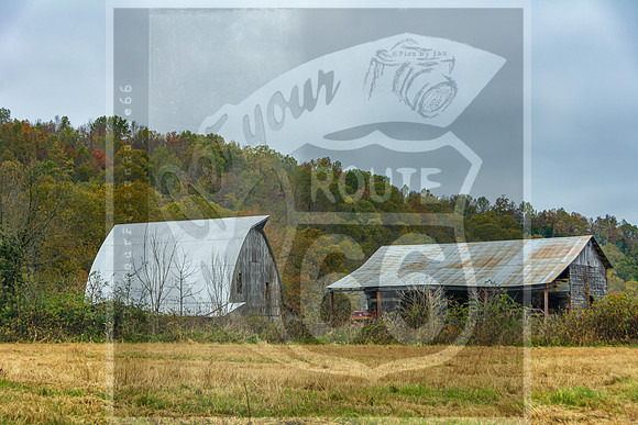 Fall 2020 © Pics by Jax-3382.jpg
