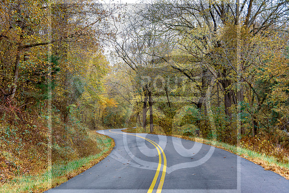 Fall 2020 © Pics by Jax-3385.jpg