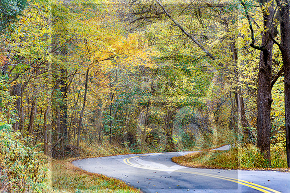Fall 2020 © Pics by Jax-3386.jpg
