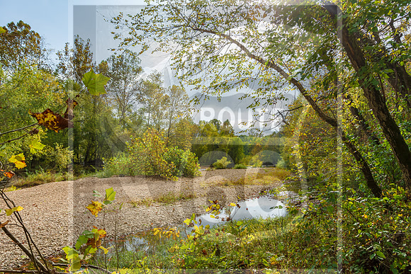 Fall - Pippin Rd. Waynesville, MO 2020 © Pics by Jax-3502.jpg