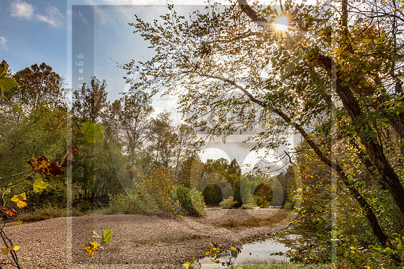 Fall - Pippin Rd. Waynesville, MO 2020 © Pics by Jax-3511.jpg