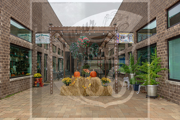 Fall - Waynesville, MO 2020 © Pics by Jax-3558.jpg