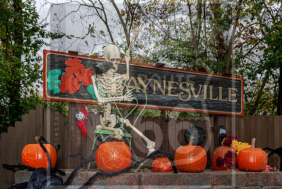 Fall - Waynesville, MO 2020 © Pics by Jax-3571.jpg