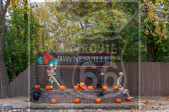 Fall - Waynesville, MO 2020 © Pics by Jax-3580.jpg