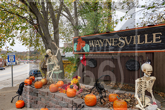 Fall - Waynesville, MO 2020 © Pics by Jax-3584.jpg
