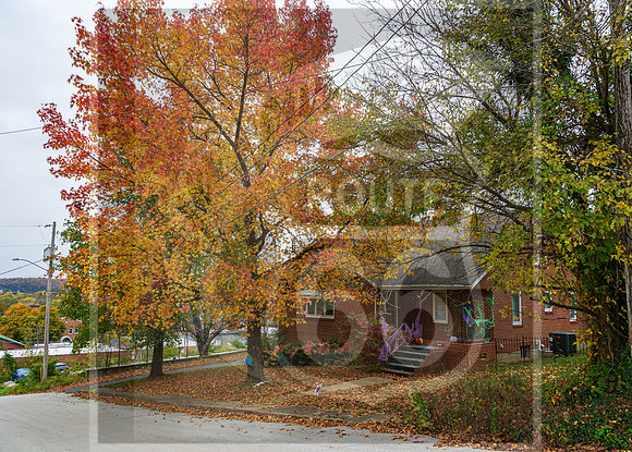Fall - Waynesville, MO 2020 © Pics by Jax-3595.jpg